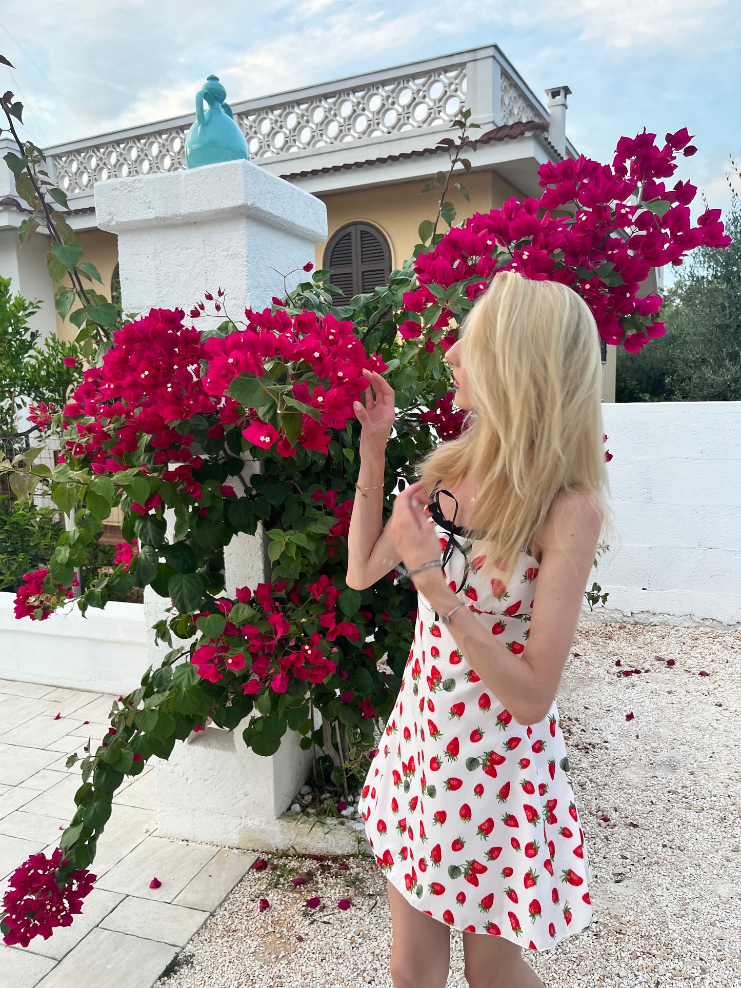 STRAWBERRIES dress
