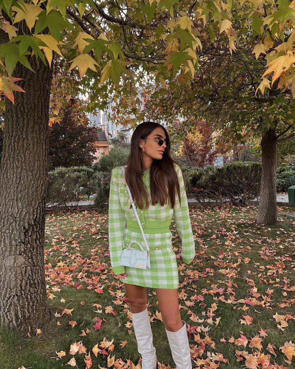 Pistachio set